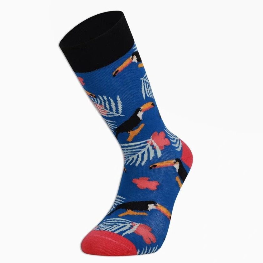 Eğlenceli Mavi Renkli Kuş Erkek Çok Renkli Soket Çorap